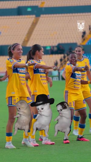 Video post by @clubtigresfemenil on TikTok