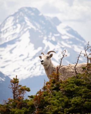 Image post by @nationalparkscollective on Instagram