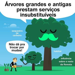 Image post by @operitoambiental on Instagram