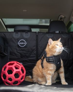 Image post by @NissanUSA on Twitter