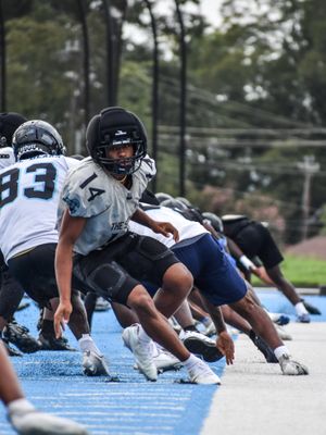 Image post by @bluebearathletics on Instagram