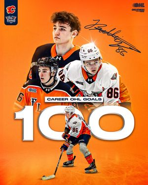 Image post by @flintfirebirds on Instagram