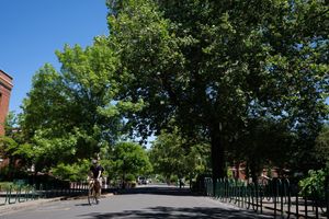 Image post by @uoregon on Twitter
