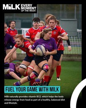 Image post by @bucssport on Instagram