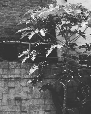 Image post by @nazim_khwaja on Instagram