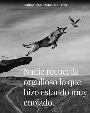Image post by @psiquiatraarmando on Instagram