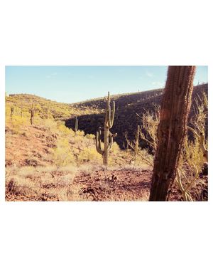 Image post by @bymasonm on Instagram
