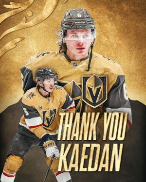 Image post by @vegasgoldenknights on Instagram