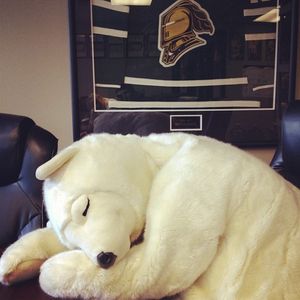 Image post by @londonknights on Instagram