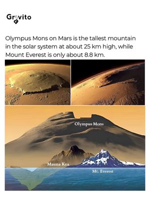 Image post by @gravitonomy on Instagram