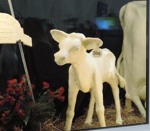 Image post by @michiganstatefair on Instagram