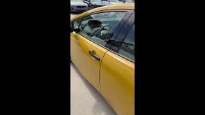 Video post by @evercarsofficial on YouTube