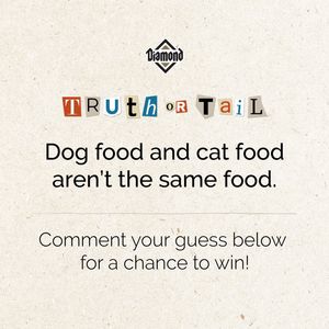 Image post by @diamondpetfoods on Instagram