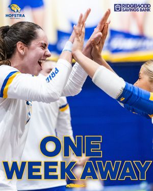 Image post by @hofstravb on Instagram