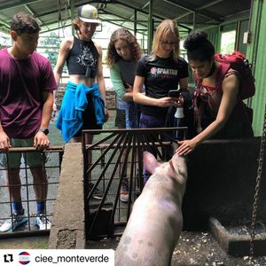 Image post by @cieestudyabroad on Instagram