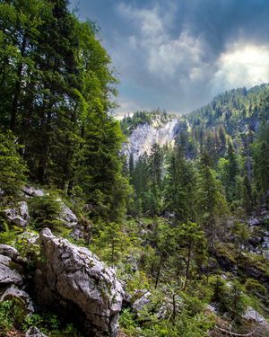 Image post by @cristan.nature.photography on Instagram
