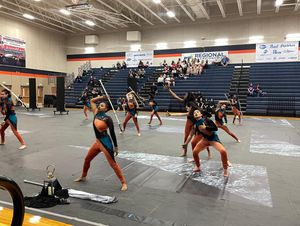 Image post by @wgisportofthearts on Instagram