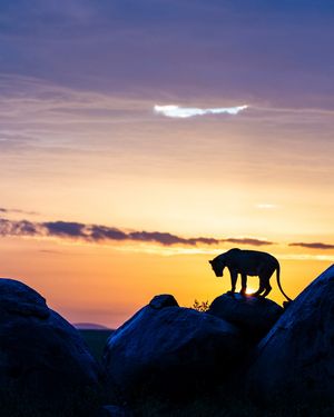 Image post by @paulnicklen on Instagram