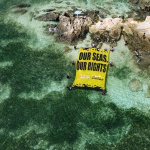 Image post by @greenpeace on Instagram