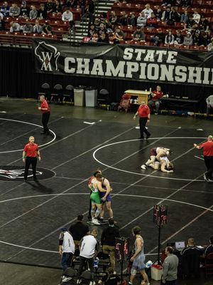 Image post by @wiaawi on Instagram