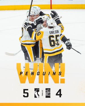 Image post by @penguins on Instagram