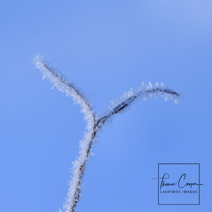 Image post by @lightboximages on Instagram
