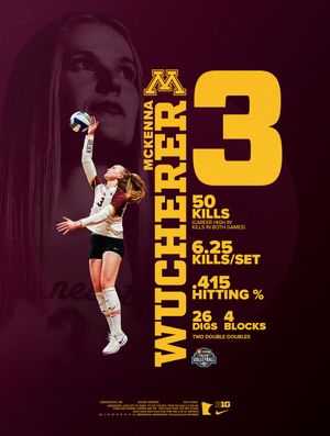 Image post by @gophervball on Instagram