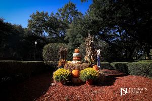 Image post by @jacksonstateu on Instagram