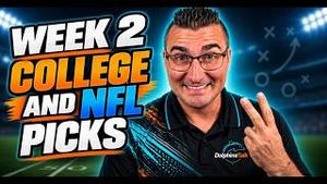 Video post by @dolphinstalk on YouTube