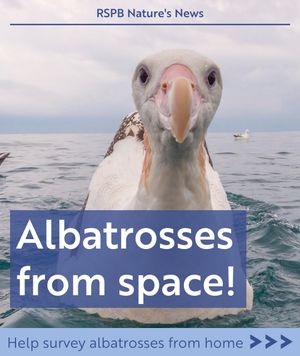 Image post by @rspb on Instagram