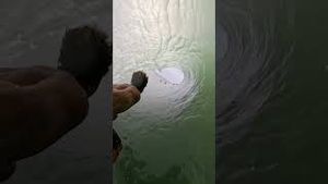 Video post by @redbullusa on YouTube