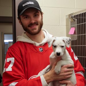 Image post by @hockeytowncares on Instagram