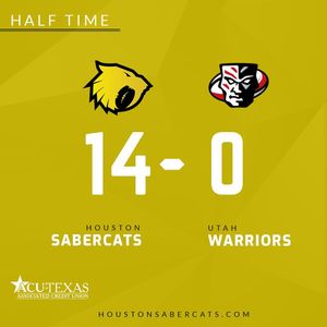 Image post by @houstonsabercats on Instagram