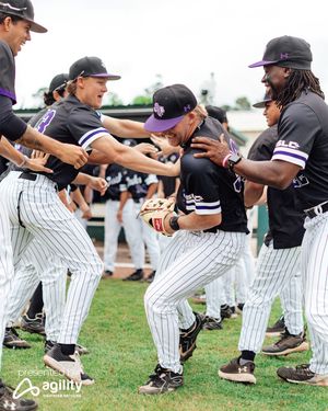 Image post by @sfa_baseball on Instagram