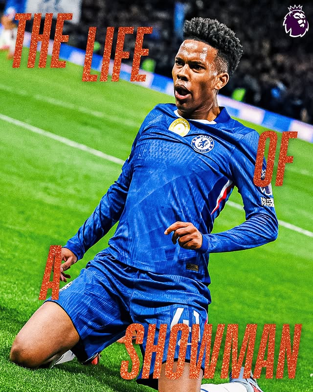 Image post by @plinusa on Instagram