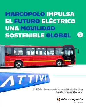 Image post by @marcopolosuperpolocol on Instagram