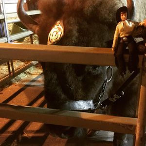 Image post by @nationalwestern on Instagram