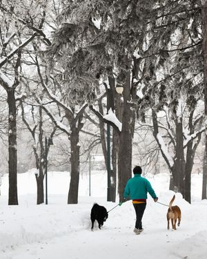 Image post by @fargoparks on Instagram