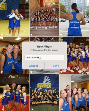 Image post by @hofstradanceteam on Instagram