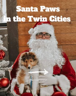 Image post by @kristeninmn on Instagram