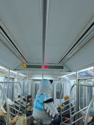 Image post by @skythepigeon on Instagram