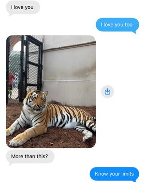 Image post by @lsusports on Instagram