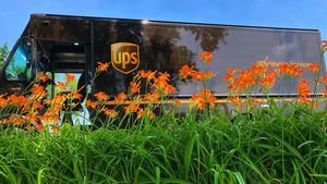 Image post by @ups on Instagram