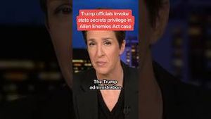 Video post by @msnbc on YouTube