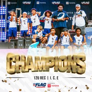 Image post by @nflflag on Instagram