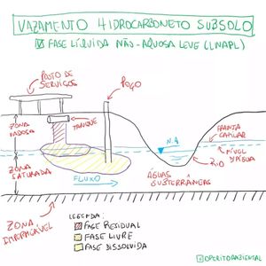 Image post by @operitoambiental on Instagram