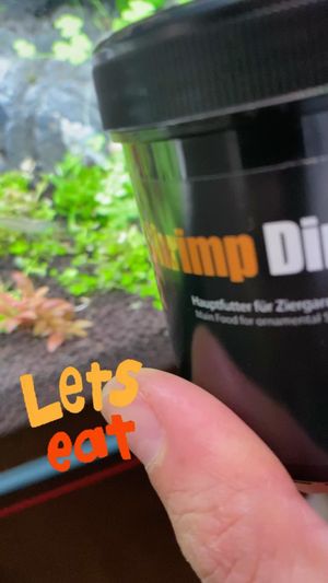 Video post by @aqualupi on Instagram