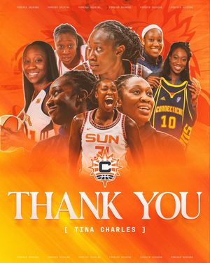 Image post by @ConnecticutSun on Twitter