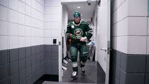 Video post by @Iowa Wild on YouTube