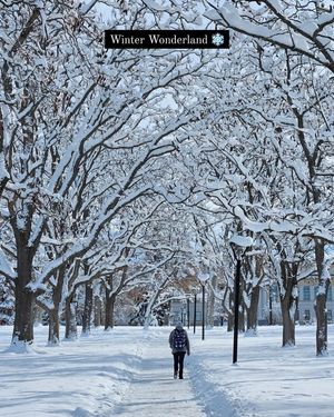 Image post by @universityofutah on Instagram